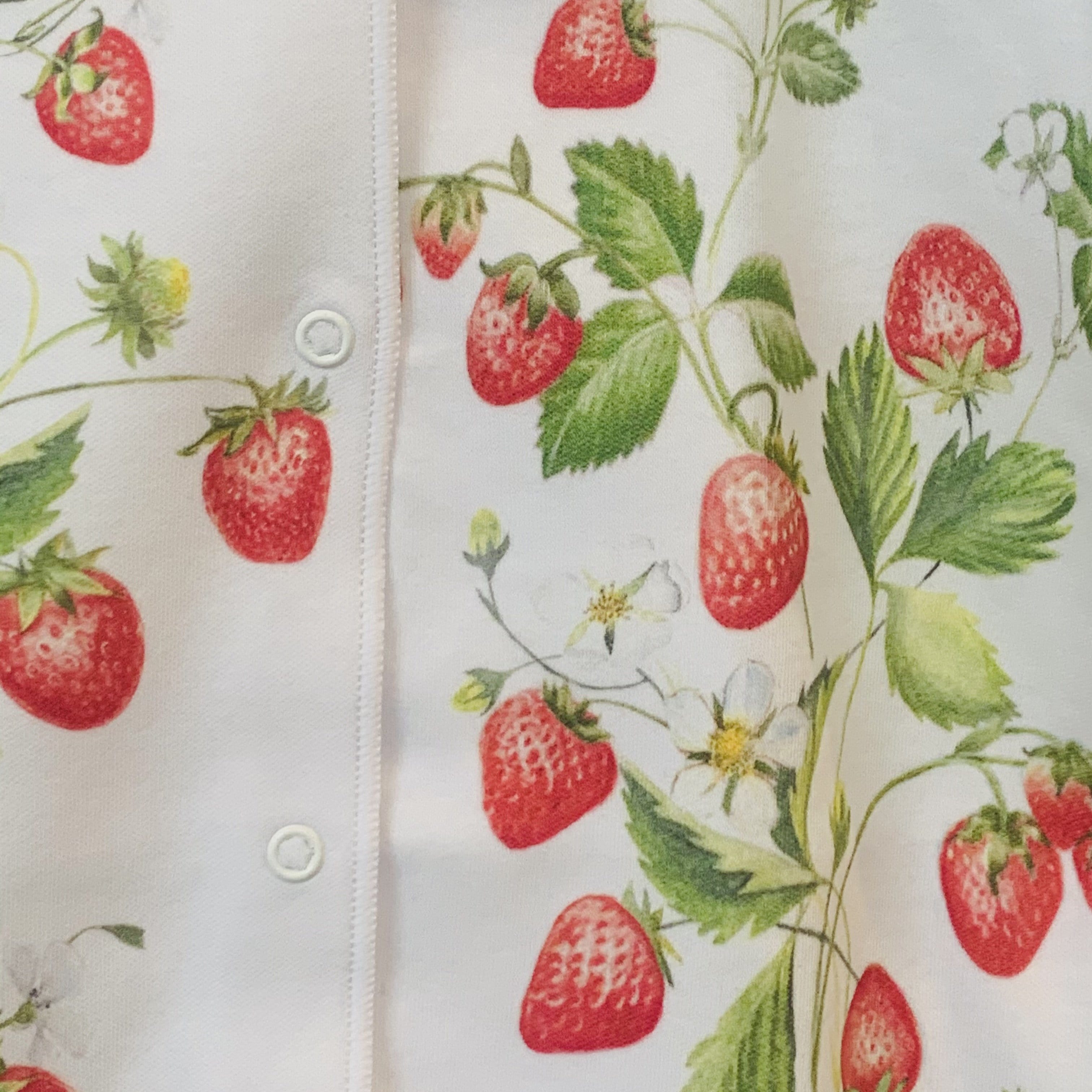 SOFIJA - Exclusive Strawberry Field Babygrow